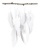 Dekorkarton, 2 oldalas, A4, 300 g, 50 lap, FOLIA, fehér